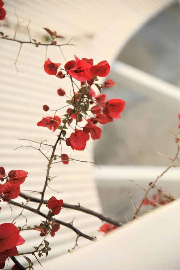 Harmony Hotel Sarande Exterior photo